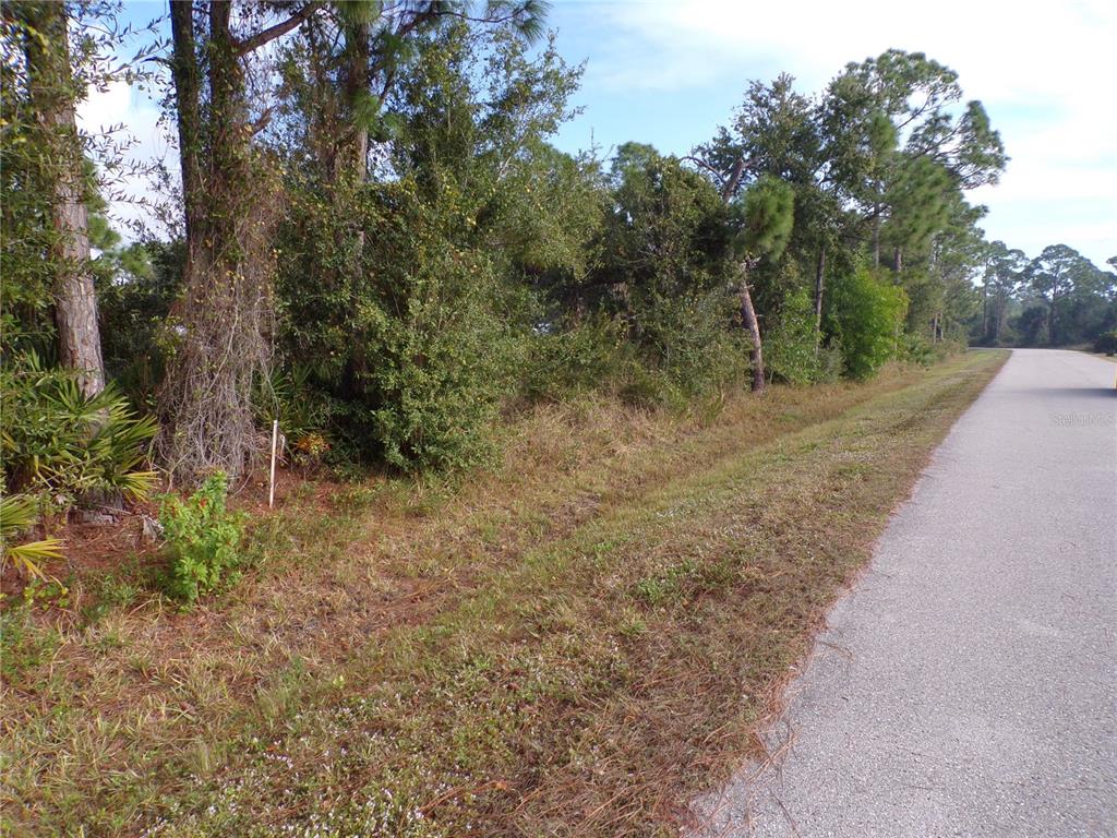 12069 Borax Avenue Punta Gorda, FL 33955 - Photo 4 of 10 a view of a yard with trees