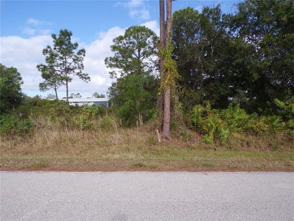 12069 Borax Avenue Punta Gorda, FL 33955 - Photo 5 of 10 a view of a yard with a tree