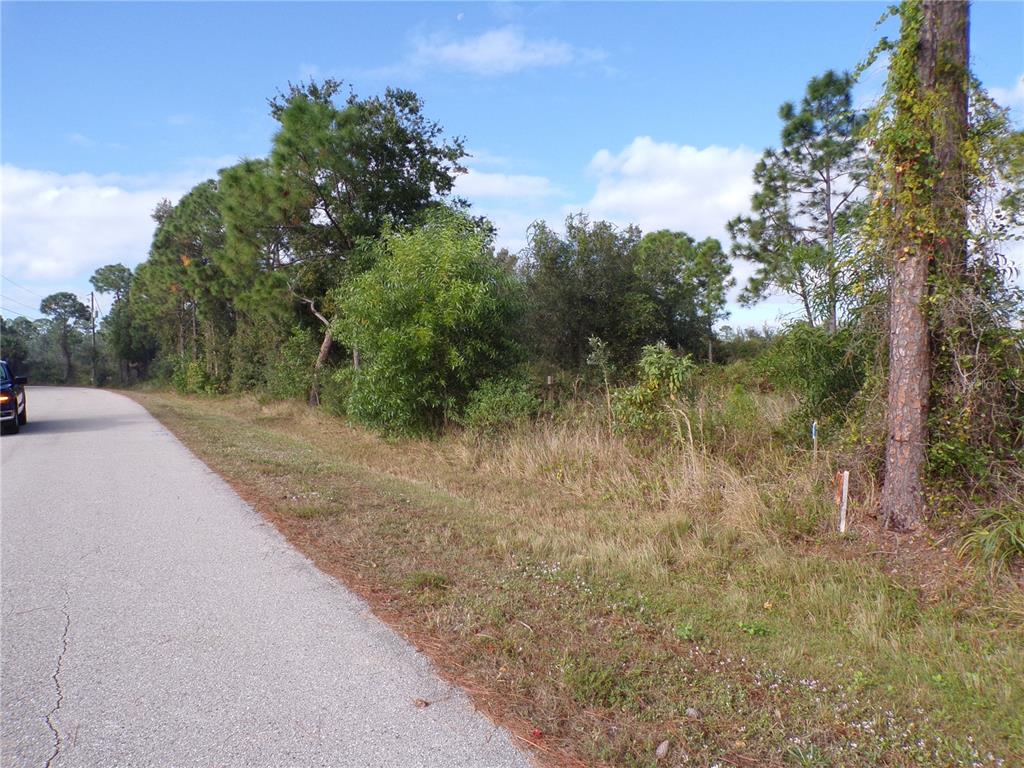 12069 Borax Avenue Punta Gorda, FL 33955 - Photo 7 of 10 a view of a yard