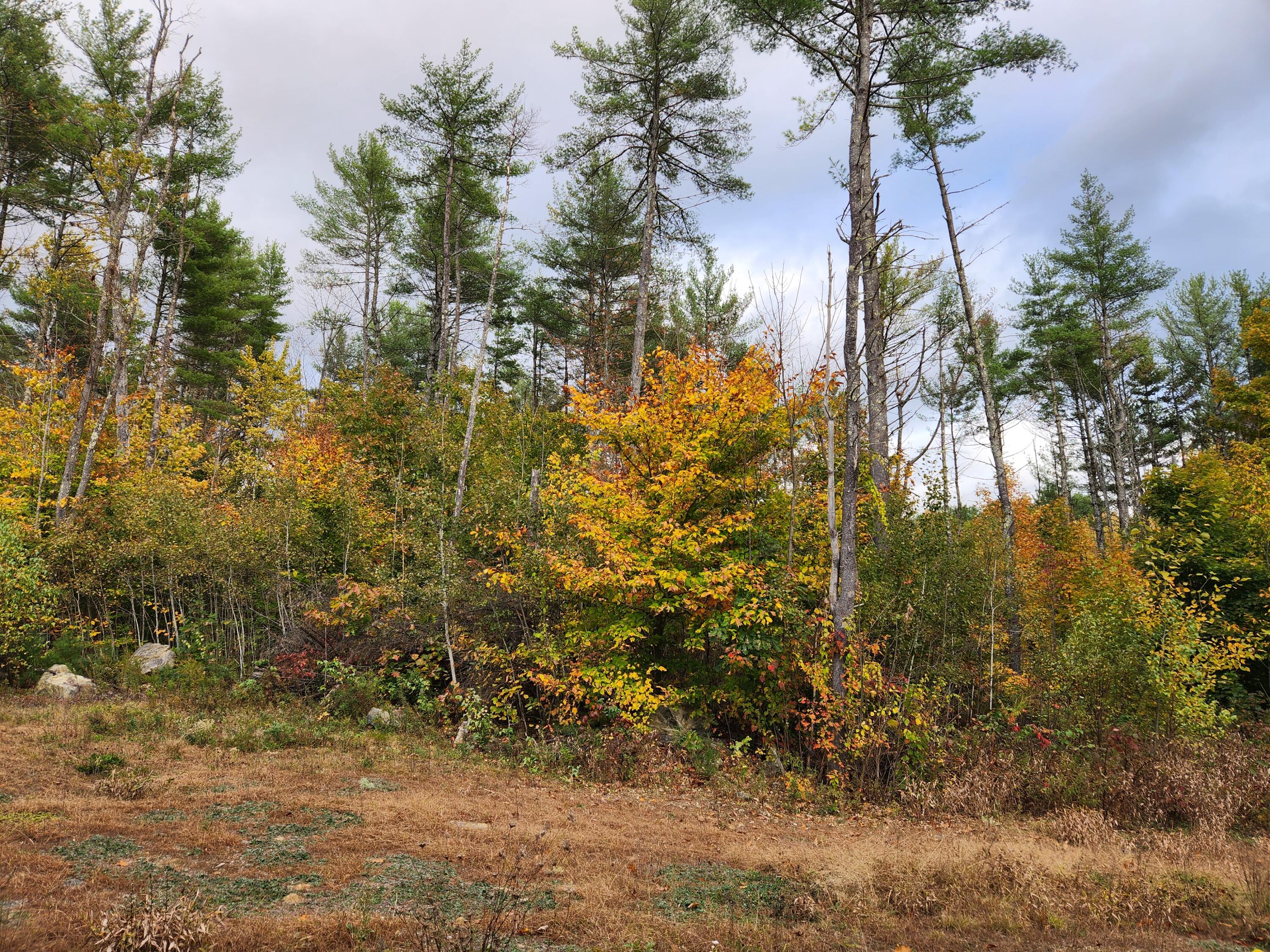 41 Faunce Road Buckfield, ME 04220 - Photo 16 of 31 20241010_163035