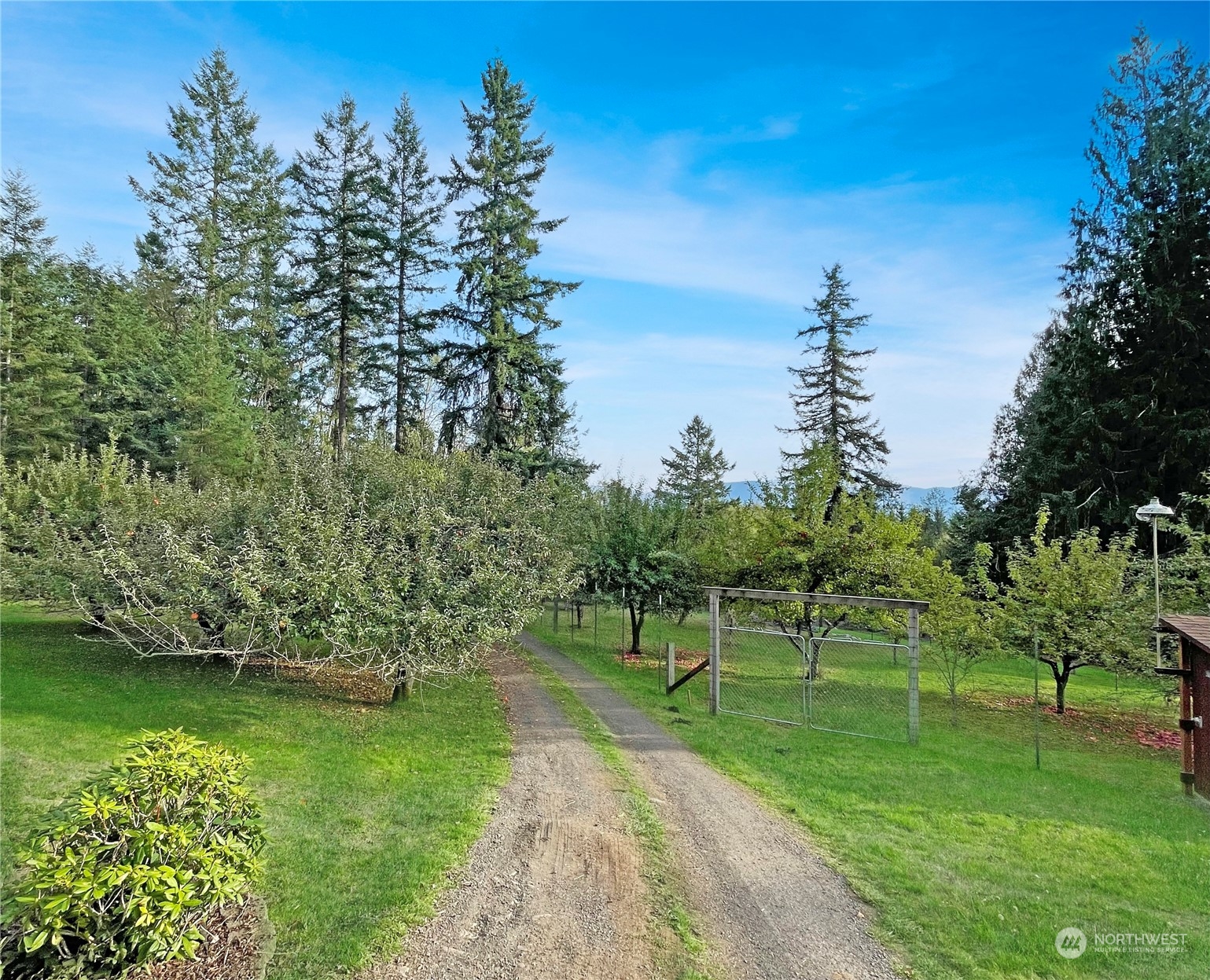 521 Maranatha Road Kelso, WA 98626 - Photo 29 of 40 Gallery Image 29
