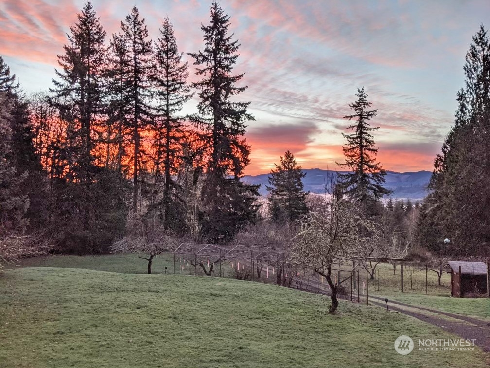 521 Maranatha Road Kelso, WA 98626 - Photo 40 of 40 Gallery Image 40