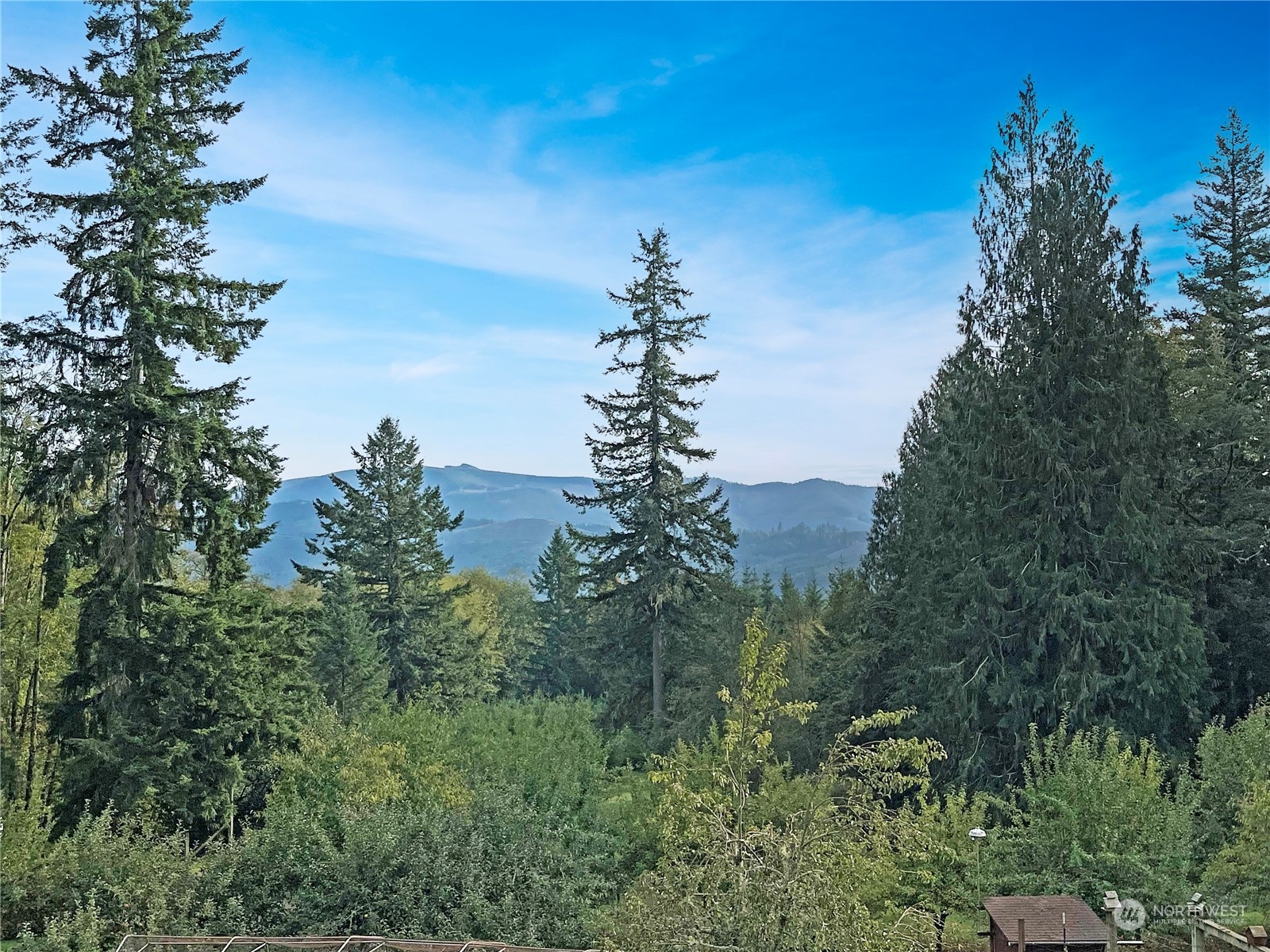 521 Maranatha Road Kelso, WA 98626 - Photo 4 of 40 Gallery Image 4
