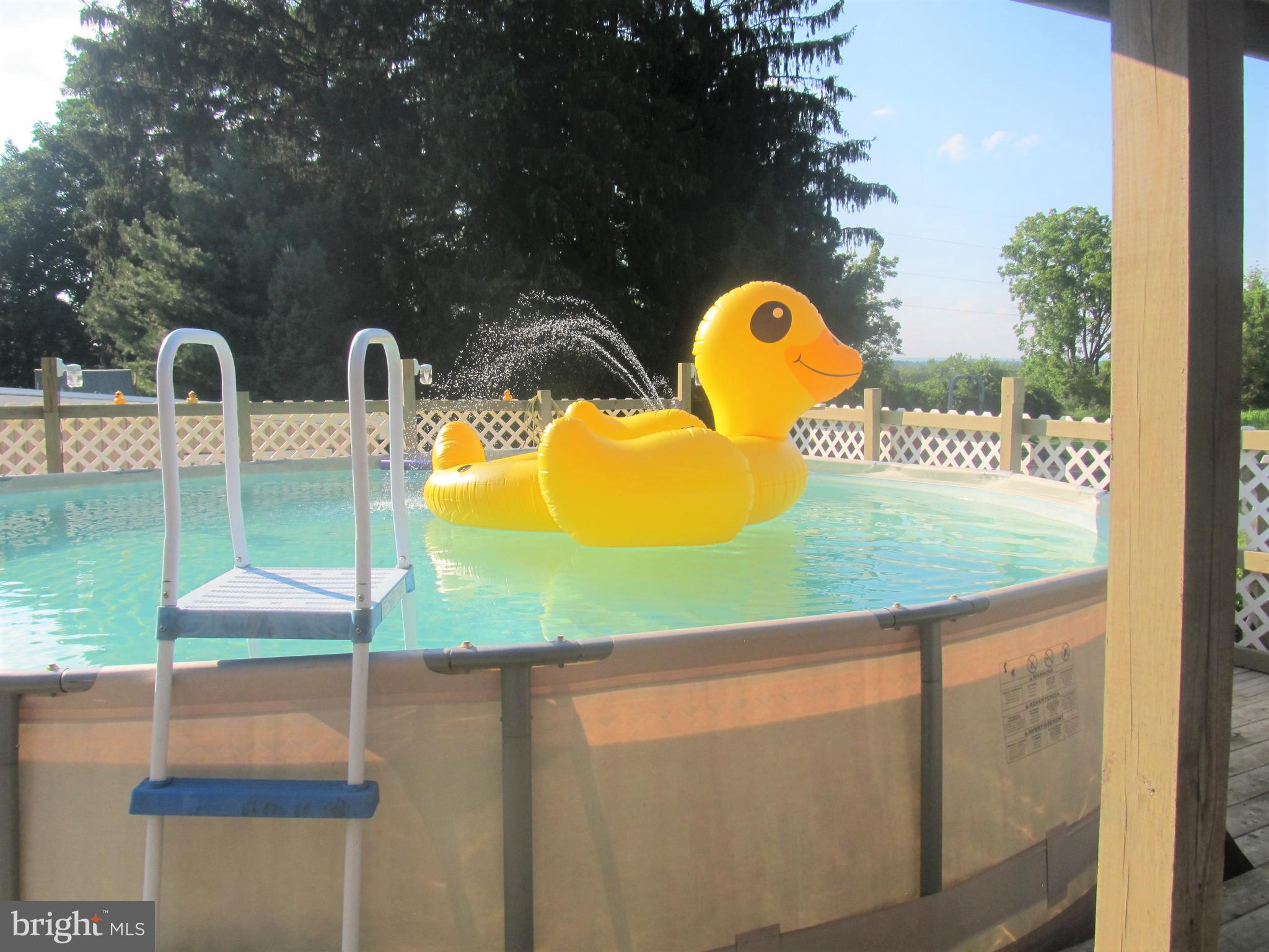 84 Chapel Hill Road Sinking Spring, PA 19608 - Photo 39 of 43 Pool and rubber duckie