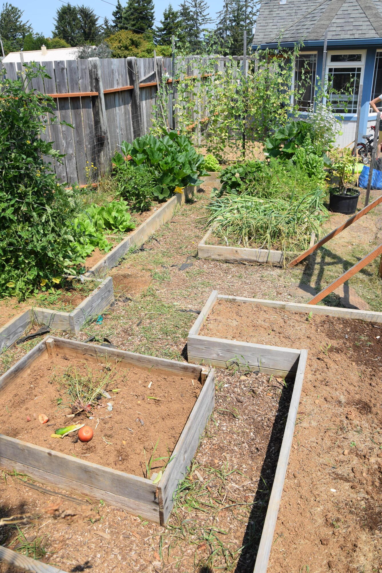 481 South 19th Street Reedsport, OR 97467 - Photo 23 of 28 23 - Raised Garden Beds