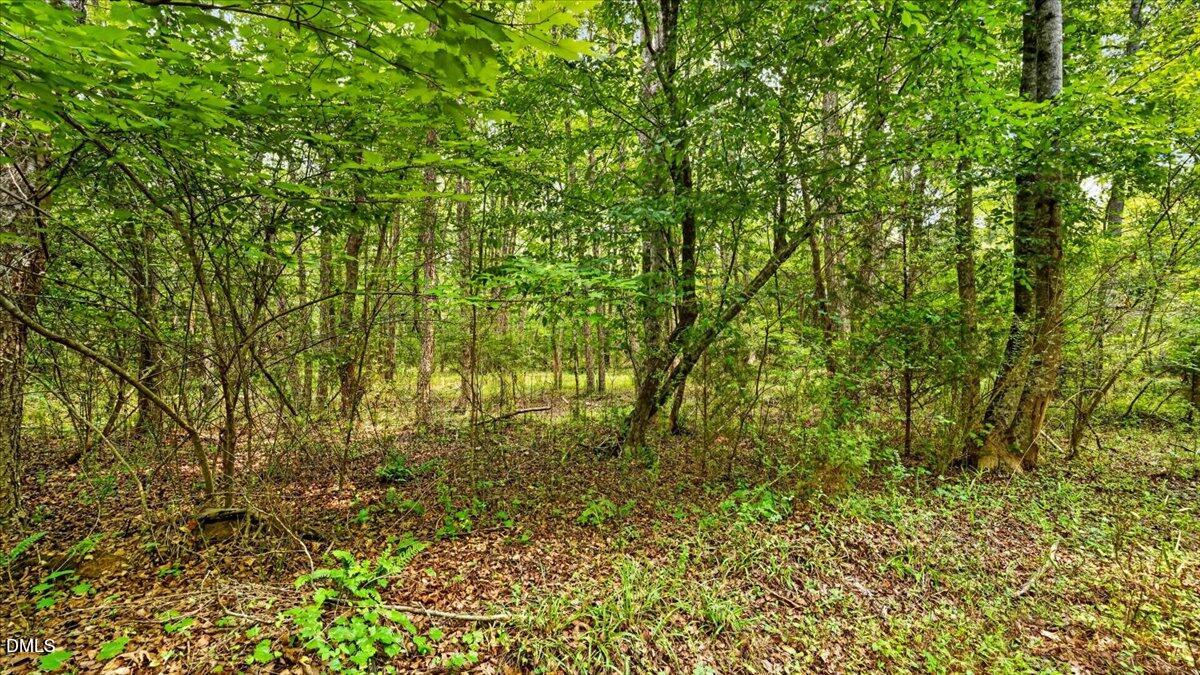 0 Blacks Road Macon, NC 27551 - Photo 16 of 22 16-DSC2623