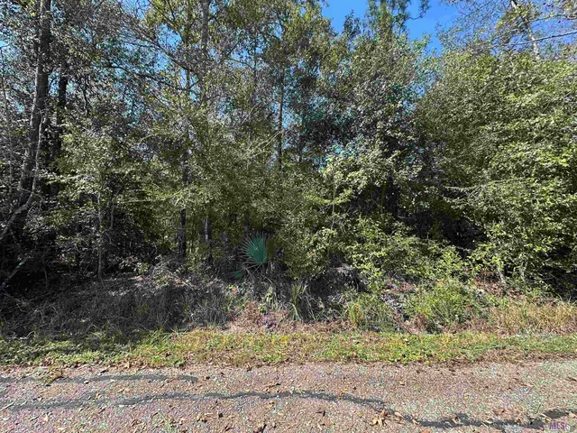 $142,500 | 18943 Austin Street, Springfield, LA 70462