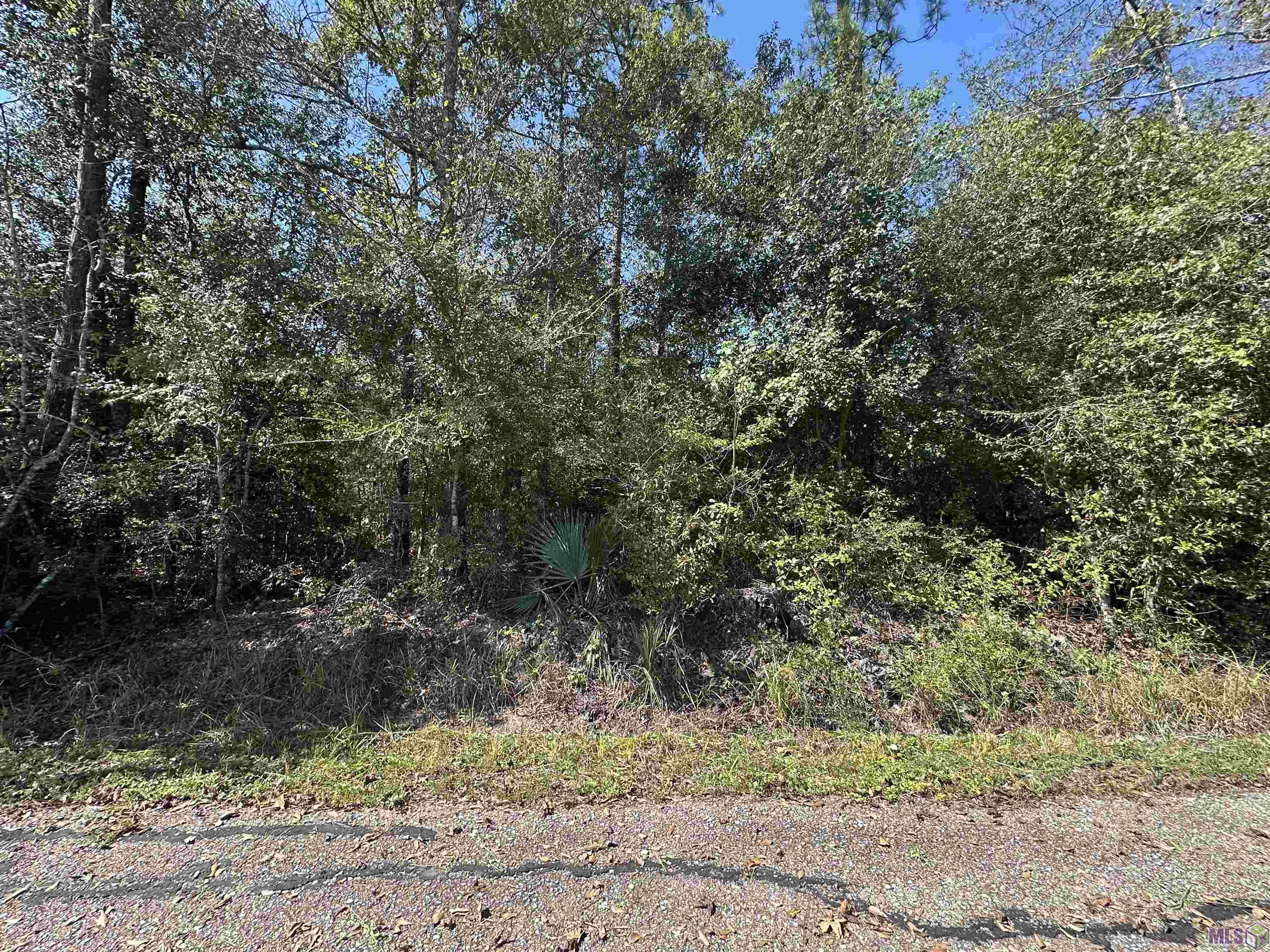 18943 Austin Street Springfield, LA 70462 - Photo 13 of 19
