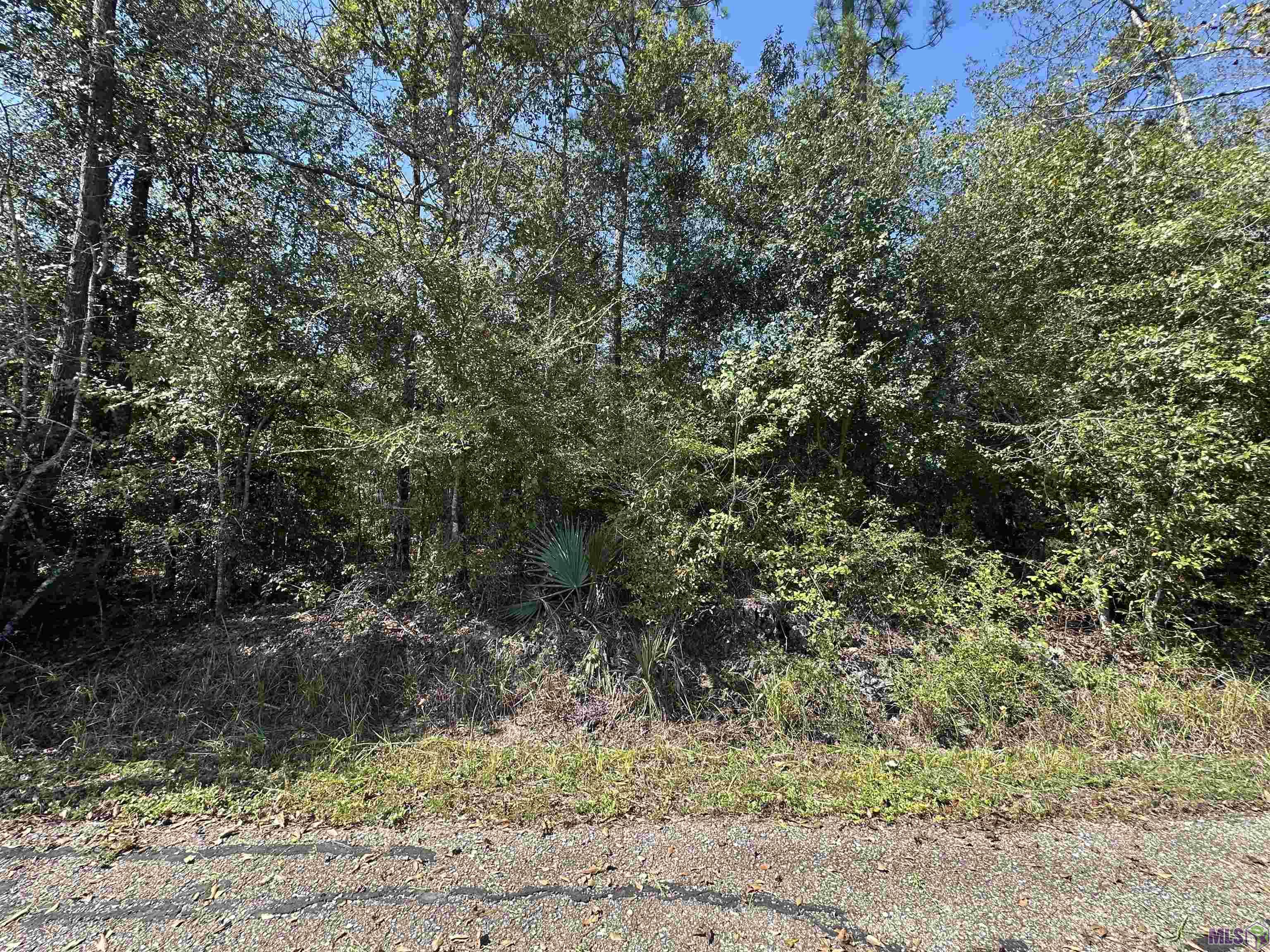 18943 Austin Street Springfield, LA 70462 - Photo 17 of 19