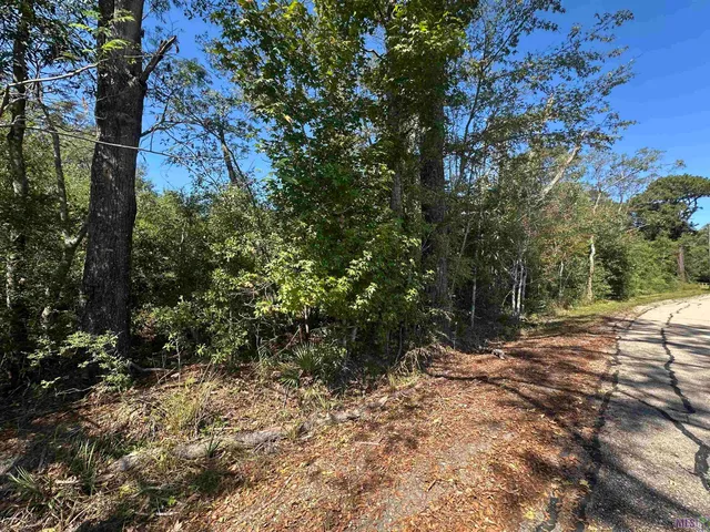 $142,500 | 18943 Austin Street, Springfield, LA 70462