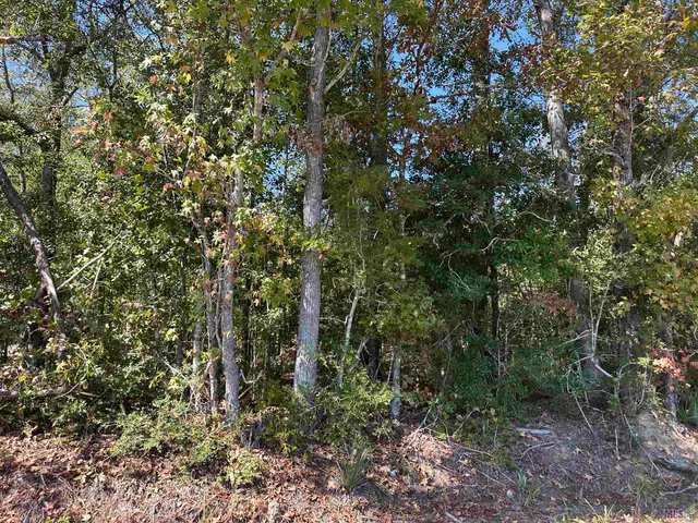 $142,500 | 18943 Austin Street, Springfield, LA 70462