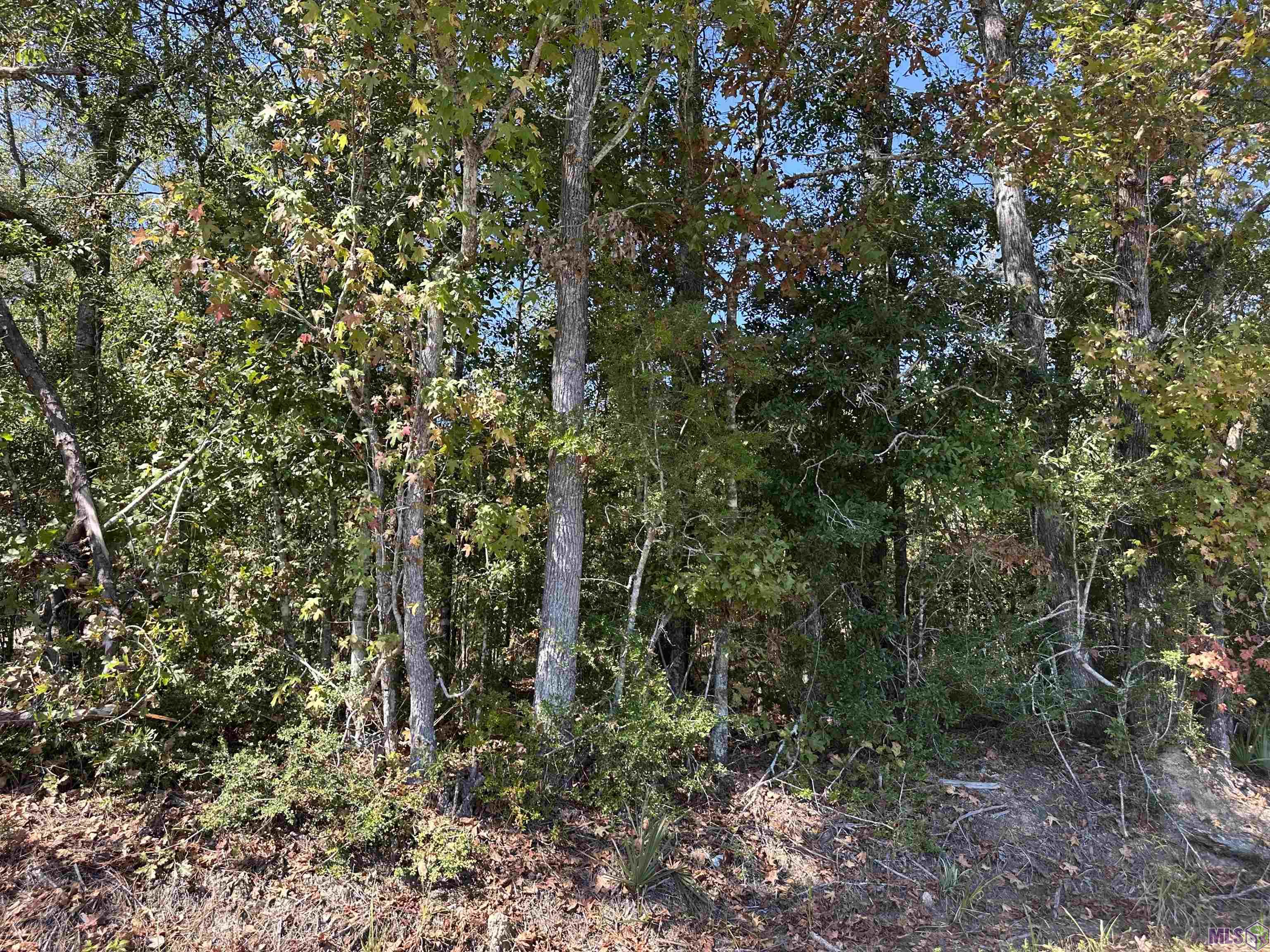 18943 Austin Street Springfield, LA 70462 - Photo 3 of 19