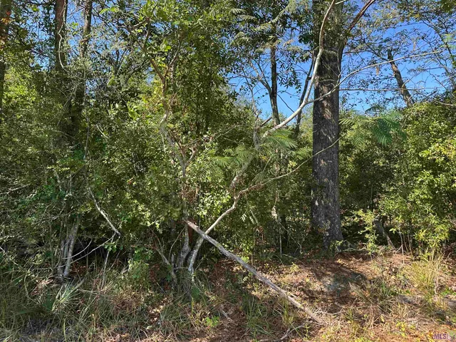 $142,500 | 18943 Austin Street, Springfield, LA 70462