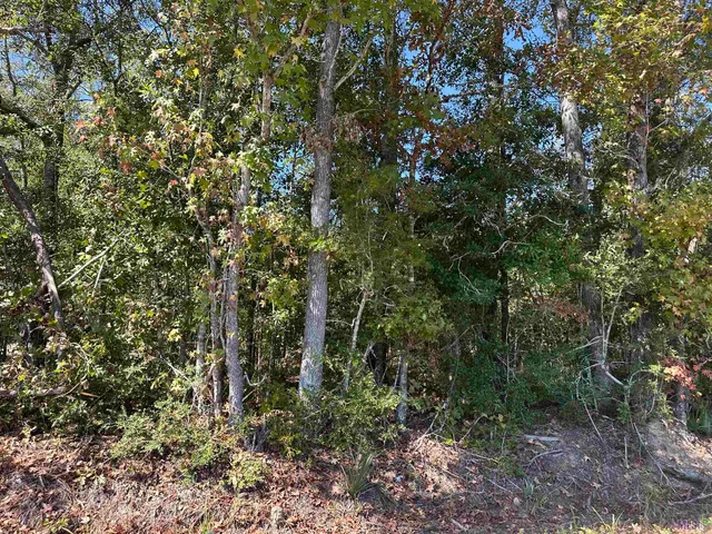 $142,500 | 18943 Austin Street, Springfield, LA 70462