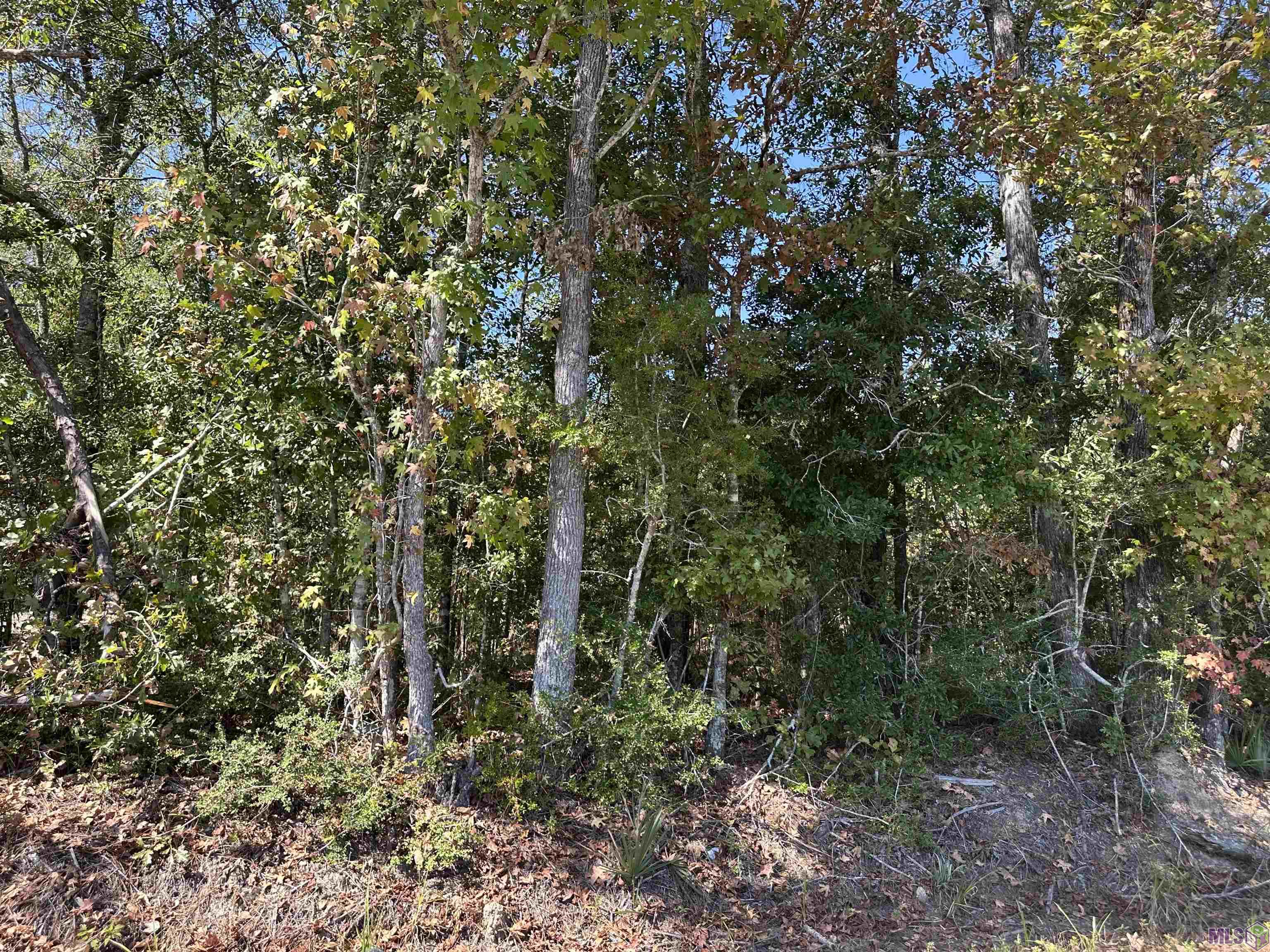 18943 Austin Street Springfield, LA 70462 - Photo 7 of 19