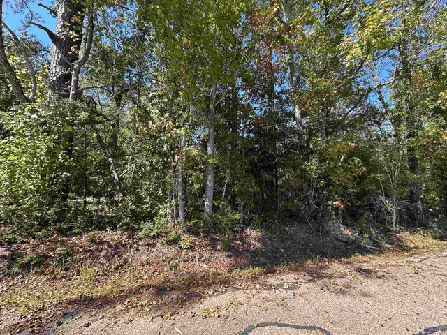 $142,500 | 18943 Austin Street, Springfield, LA 70462