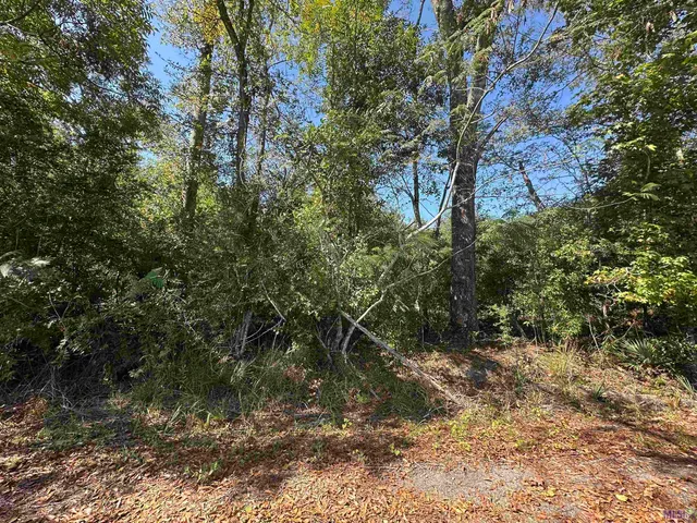 $142,500 | 18943 Austin Street, Springfield, LA 70462