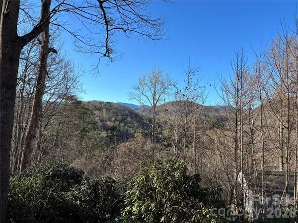 a view of a dry yard