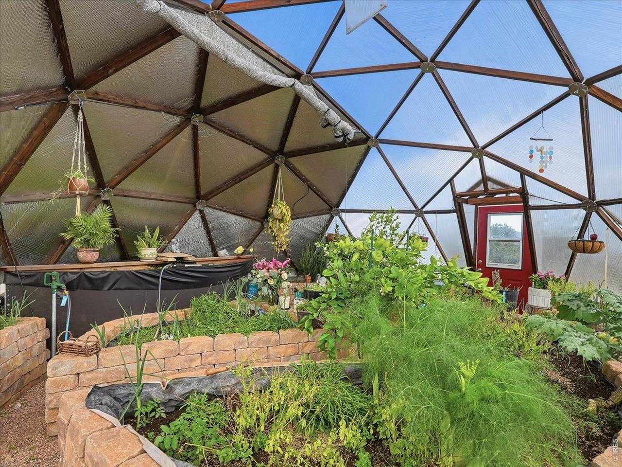 2565 Davis Ranch Road Bellvue, CO 80512 - Photo 41 of 50 Geodesic Dome Greenhouse with Herbs, Vegetables, Lime Tree, Koi Pond