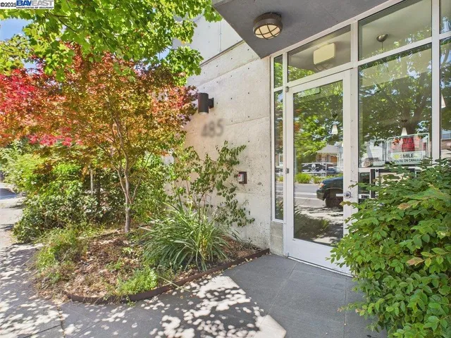 a backyard of a house with large trees and plants