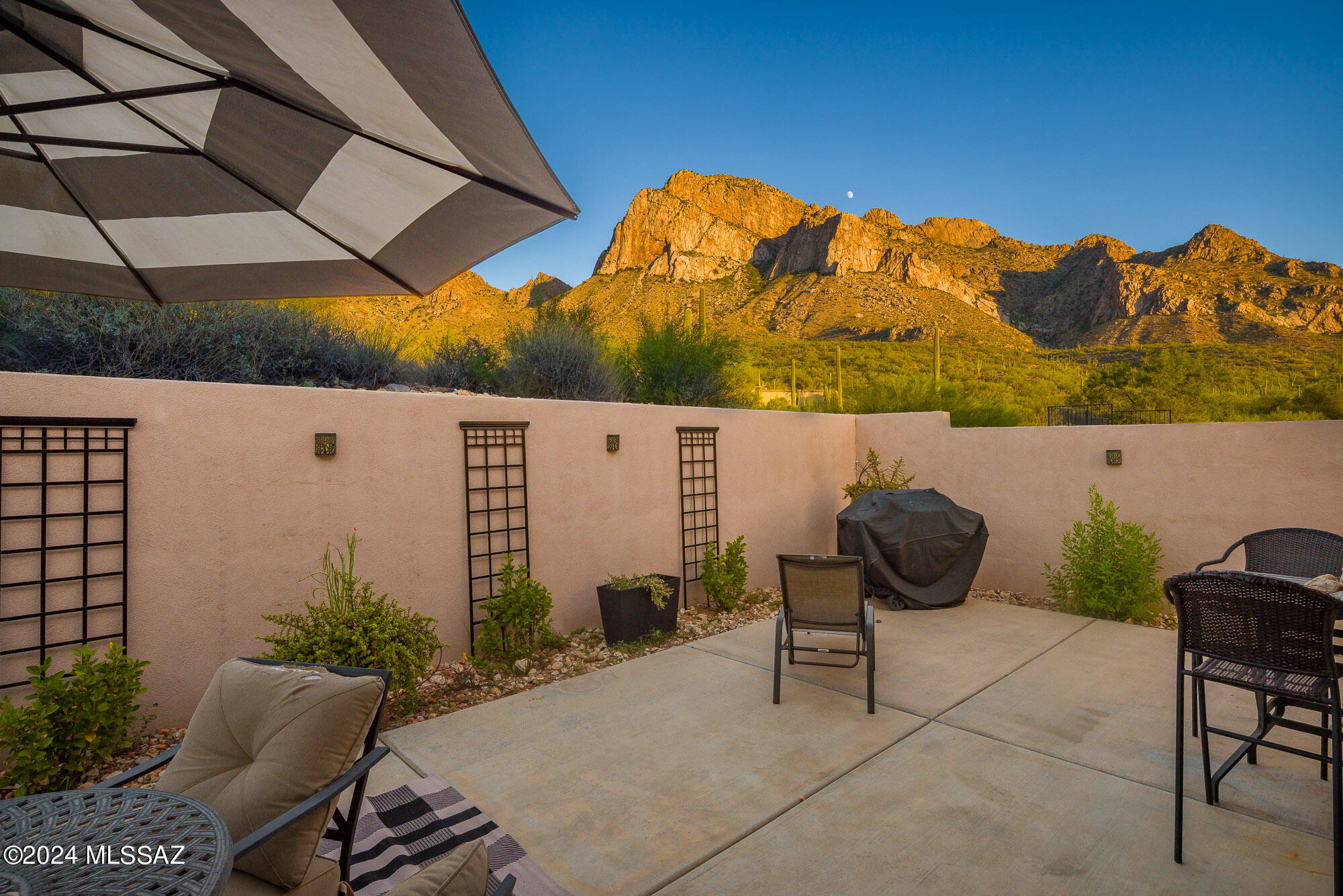 9811 North Ridge Shadow Place Oro Valley, AZ 85704 - Photo 4 of 35