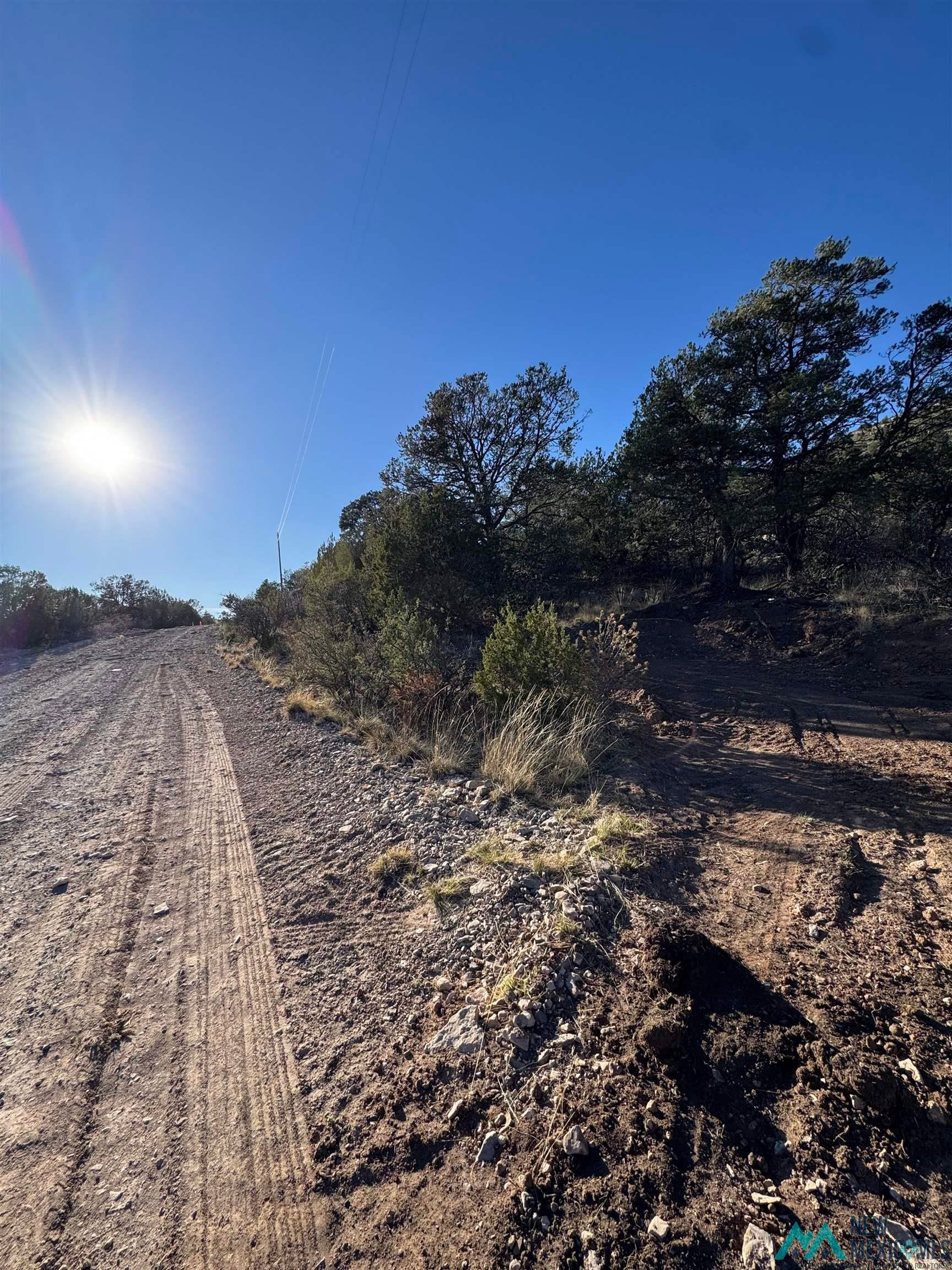 Lot 80 Longfellow Road Timberon, NM 88350 - Photo 1 of 7 View of dirt / gravel road