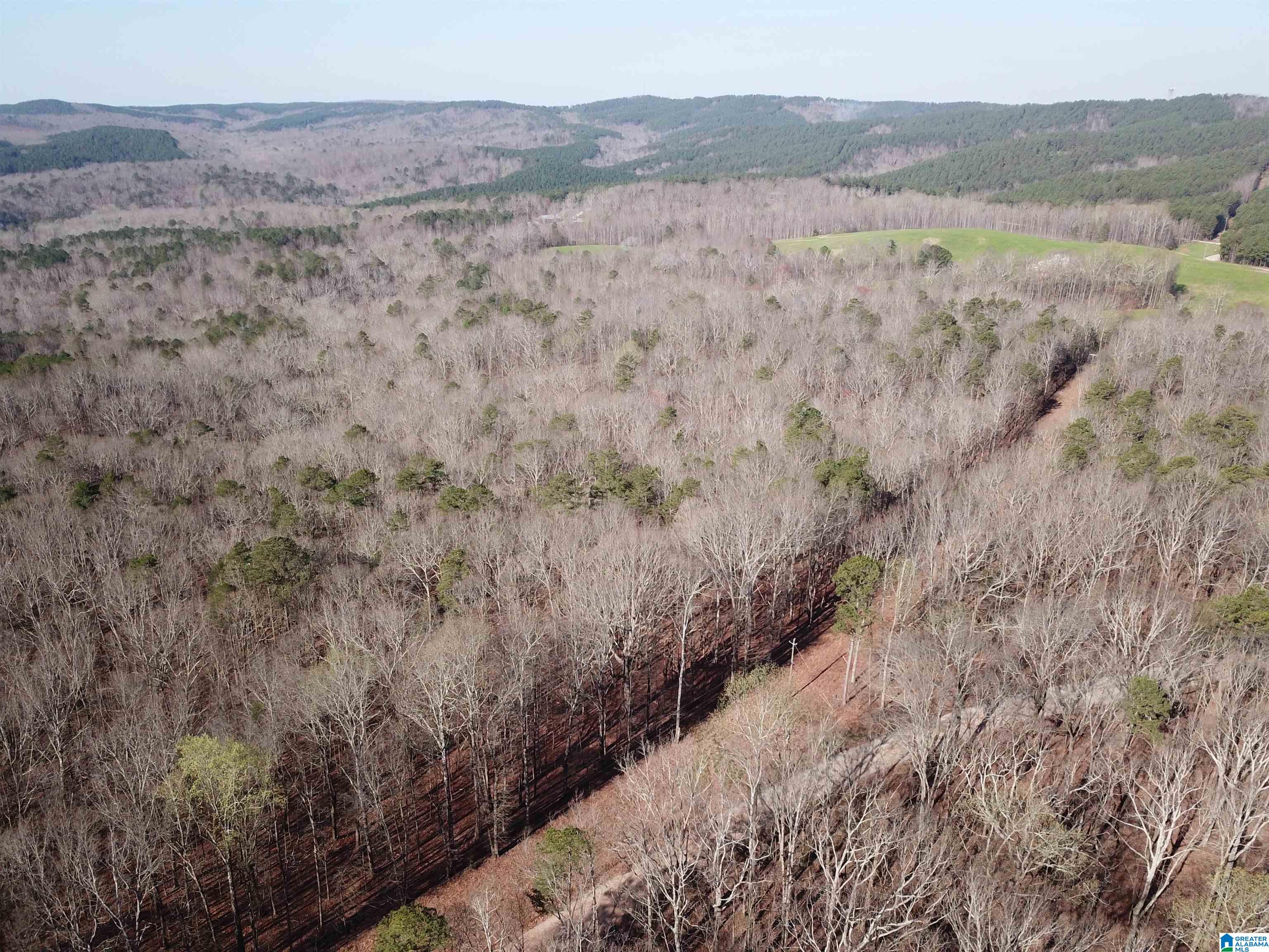 0 County Road 852, Unit 4 Ranburne, AL 36273 - Photo 2 of 19