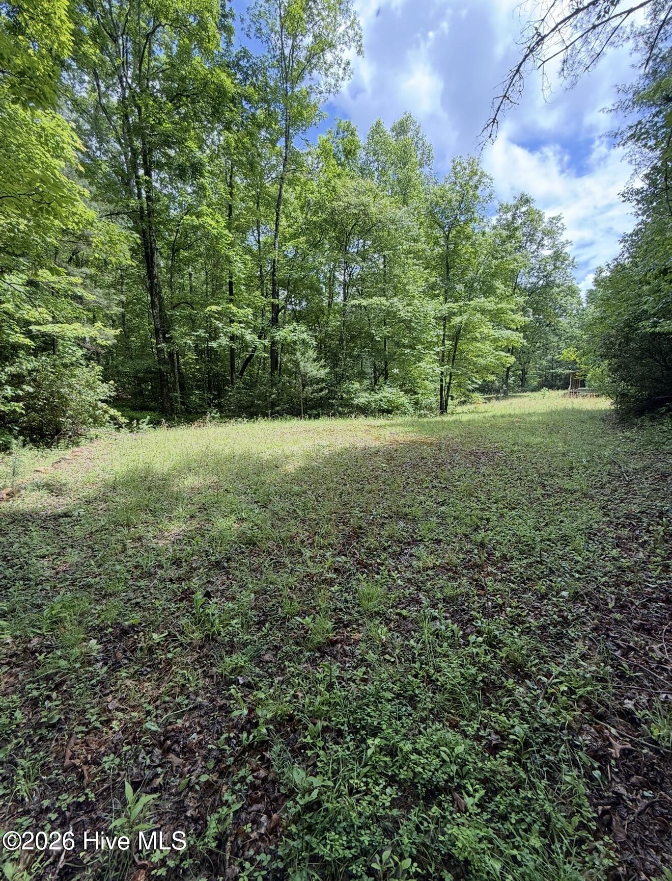 1234 Dockery Crk Road Murphy, NC 28906 - Photo 2 of 29