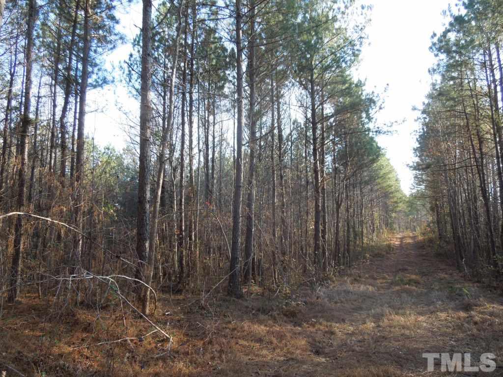 Stallings Mill Road Spring Hope, NC 27882 - Photo 2 of 8 a view of backyard with trees