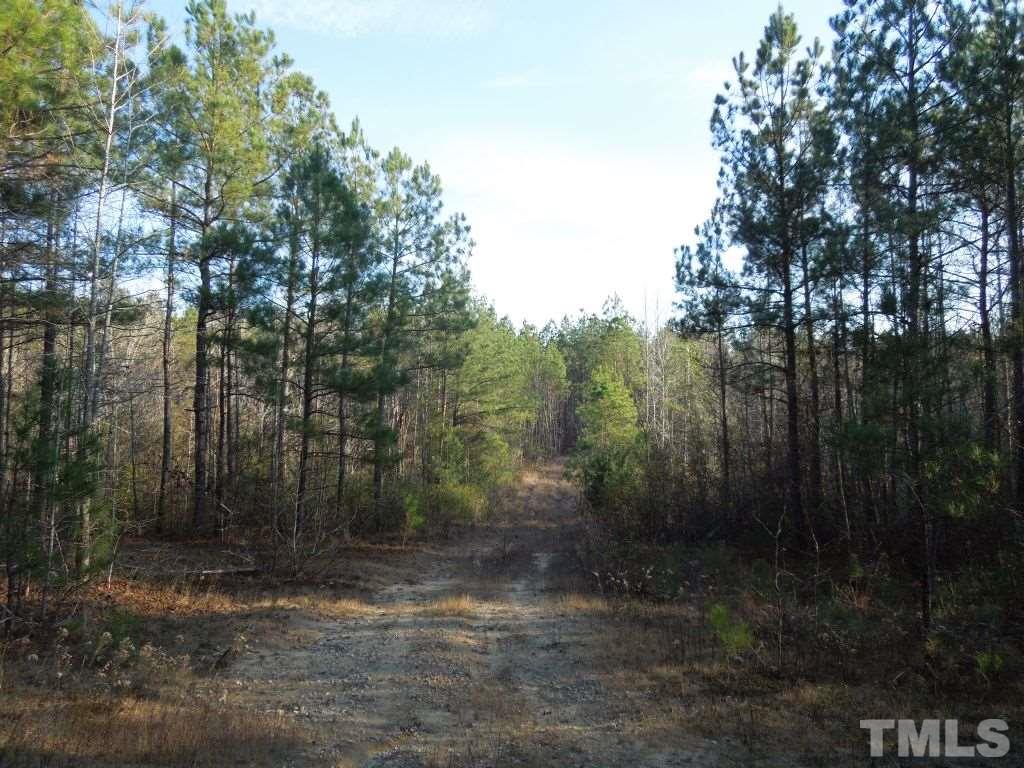 Stallings Mill Road Spring Hope, NC 27882 - Photo 5 of 8 a view of a yard with trees