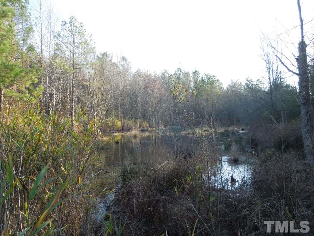 Stallings Mill Road Spring Hope, NC 27882 - Photo 6 of 8 a view of a lake view with lots of bushes