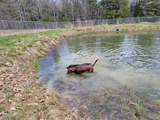 144 Middle Road Edgecomb, ME 04556 - Photo 6 of 53