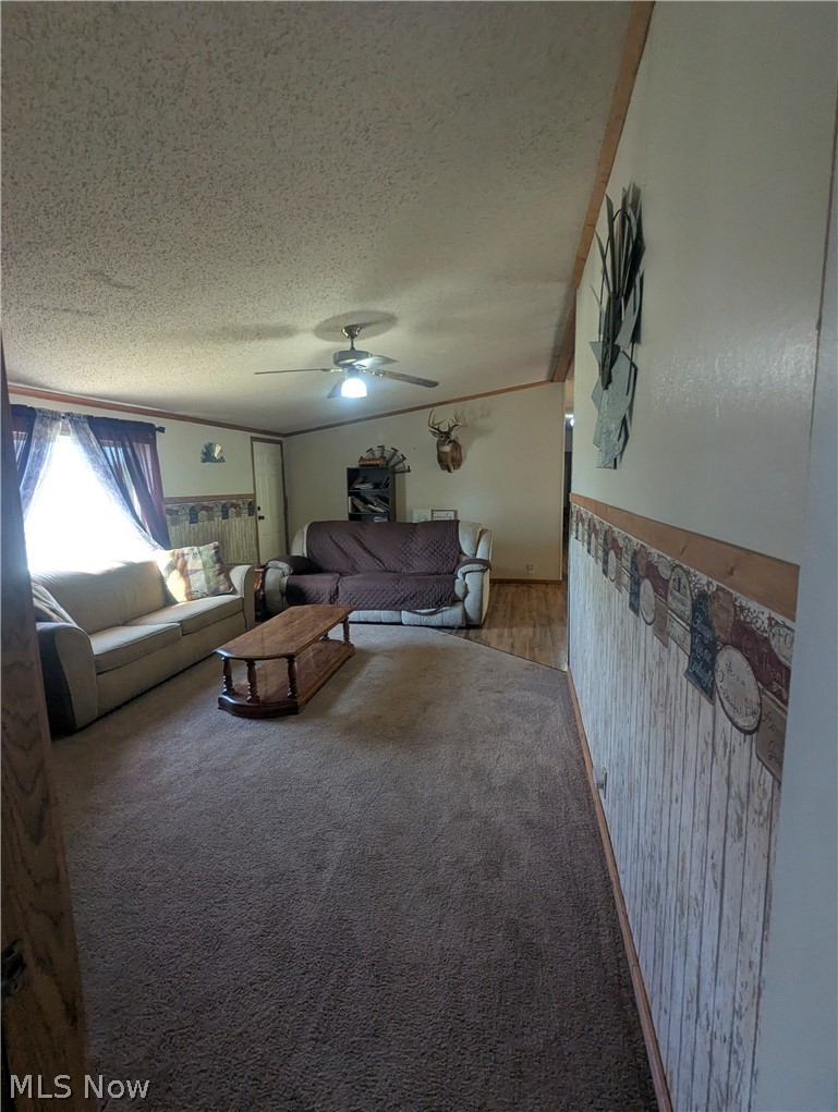 17960 Raven Road Salesville, OH 43778 - Photo 15 of 27 Carpeted living area featuring a ceiling fan with integrated lighting, wood-finish flooring, and crown molding accents