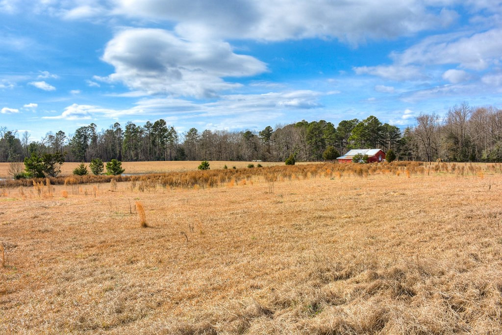 1331 Randall Hunt Road Thomson, GA 30824 - Photo 29 of 36