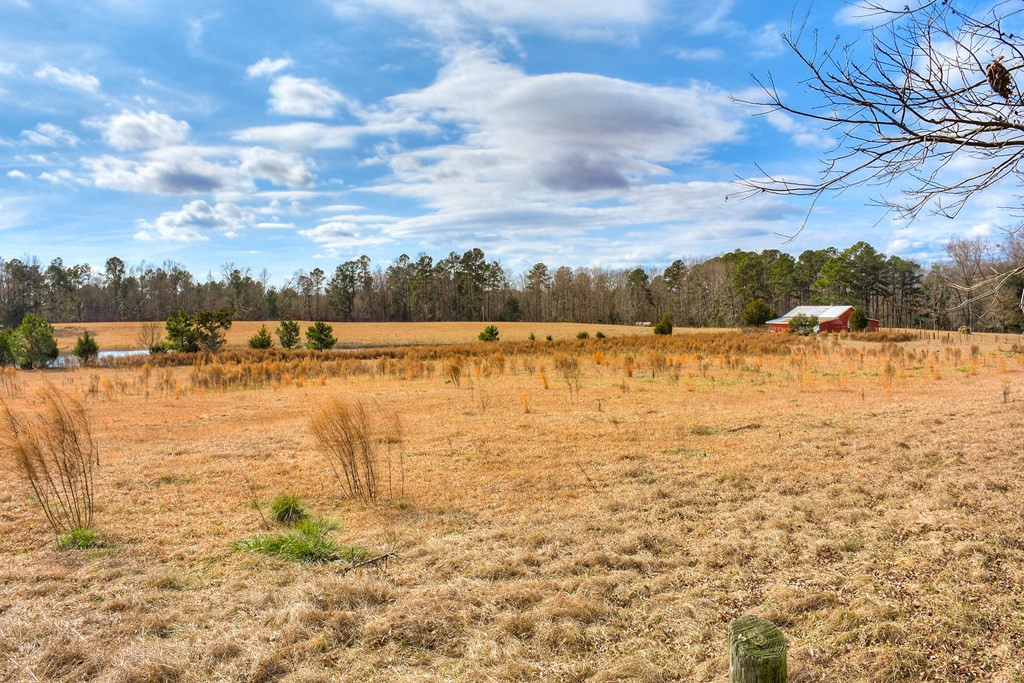 1331 Randall Hunt Road Thomson, GA 30824 - Photo 31 of 36