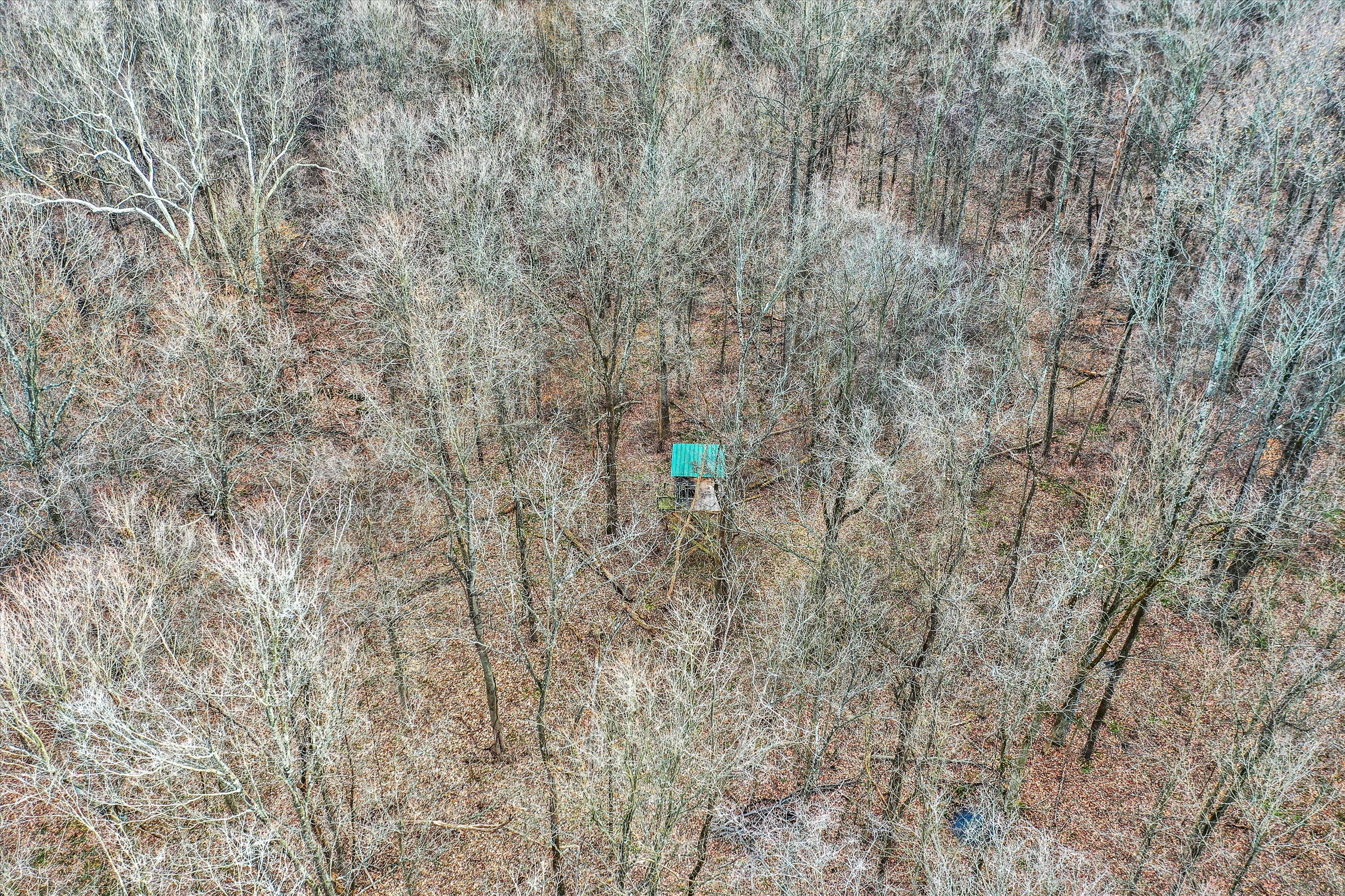 4495 Cunot-Cataract Road Poland, IN 47868 - Photo 11 of 35 Gallery Image 11