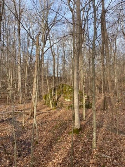 4495 Cunot-Cataract Road Poland, IN 47868 - Photo 15 of 35 Gallery Image 15