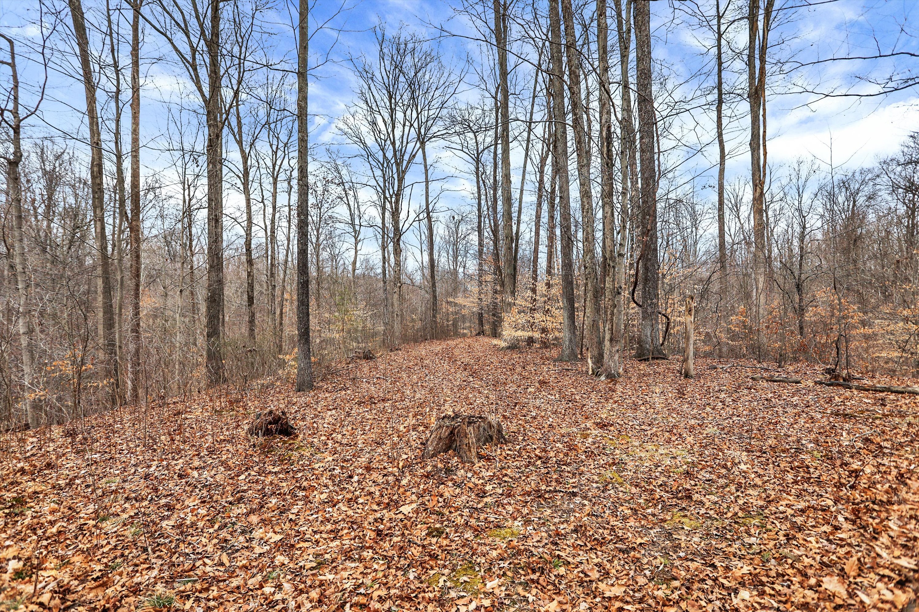 4495 Cunot-Cataract Road Poland, IN 47868 - Photo 23 of 35 Gallery Image 23