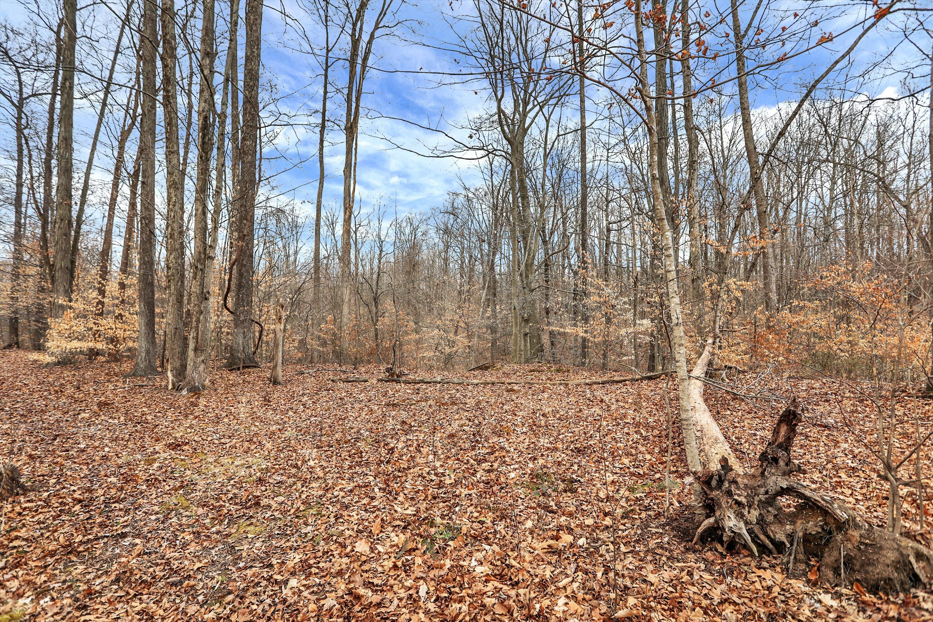 4495 Cunot-Cataract Road Poland, IN 47868 - Photo 25 of 35 Gallery Image 25