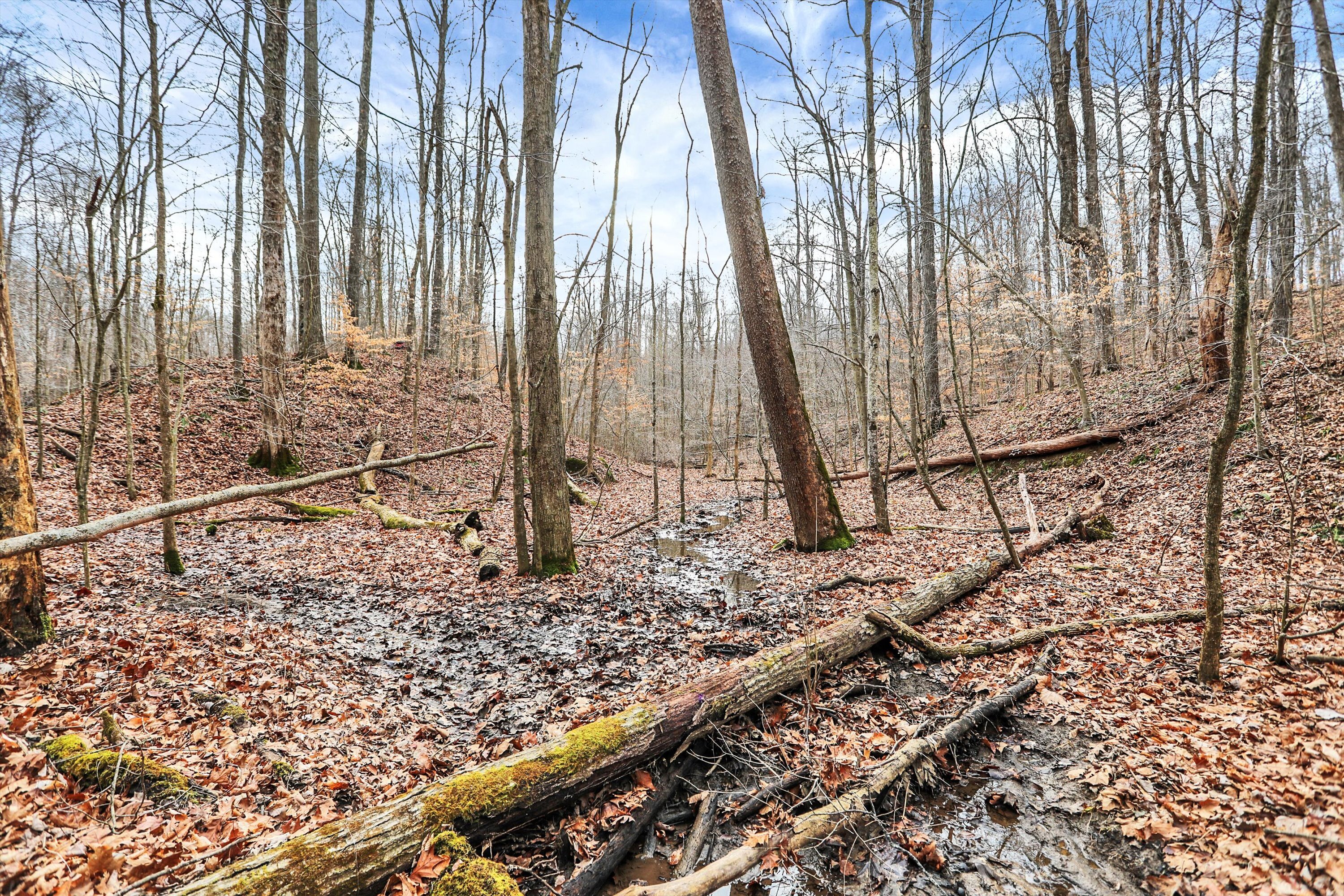 4495 Cunot-Cataract Road Poland, IN 47868 - Photo 26 of 35 Gallery Image 26