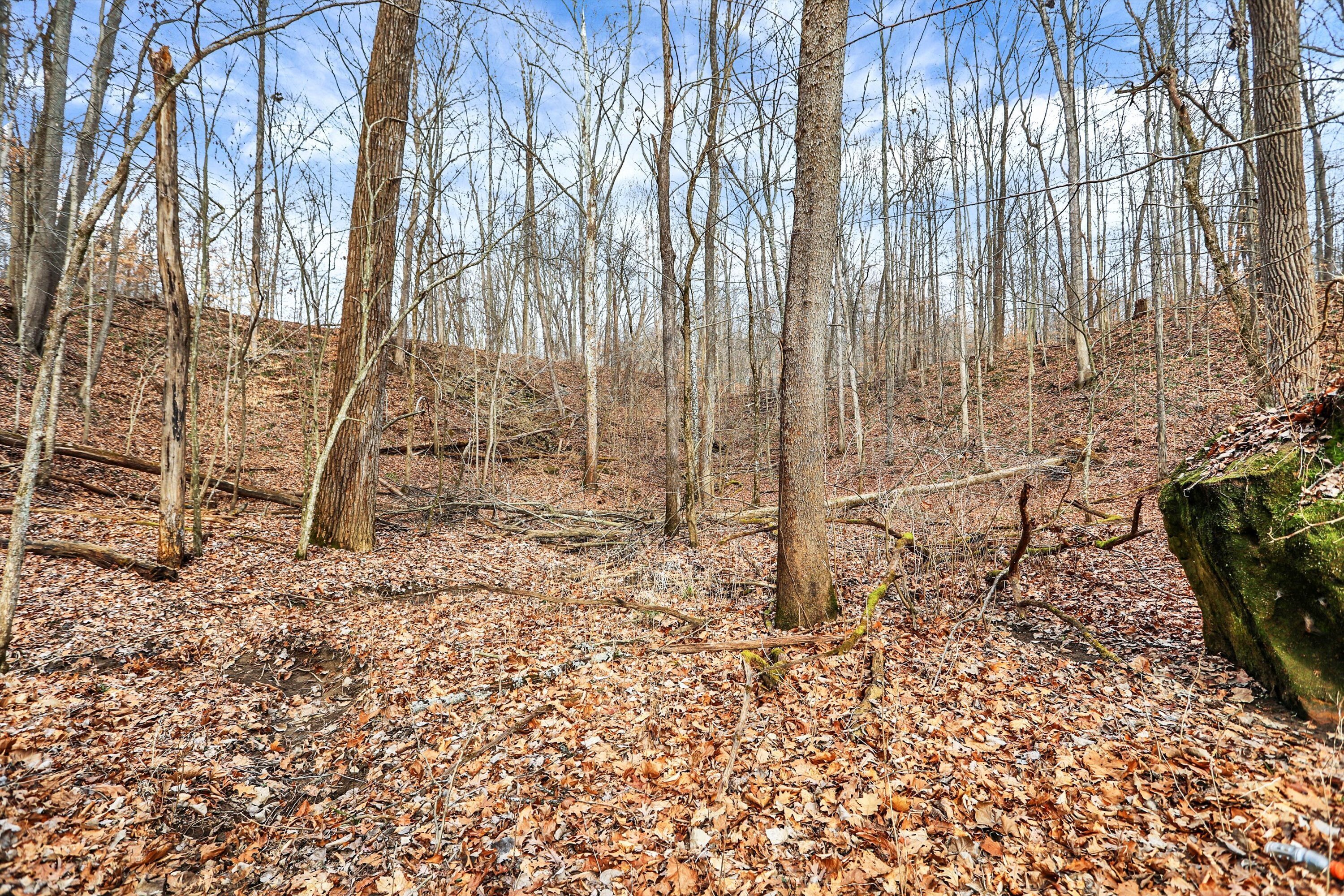 4495 Cunot-Cataract Road Poland, IN 47868 - Photo 28 of 35 Gallery Image 28