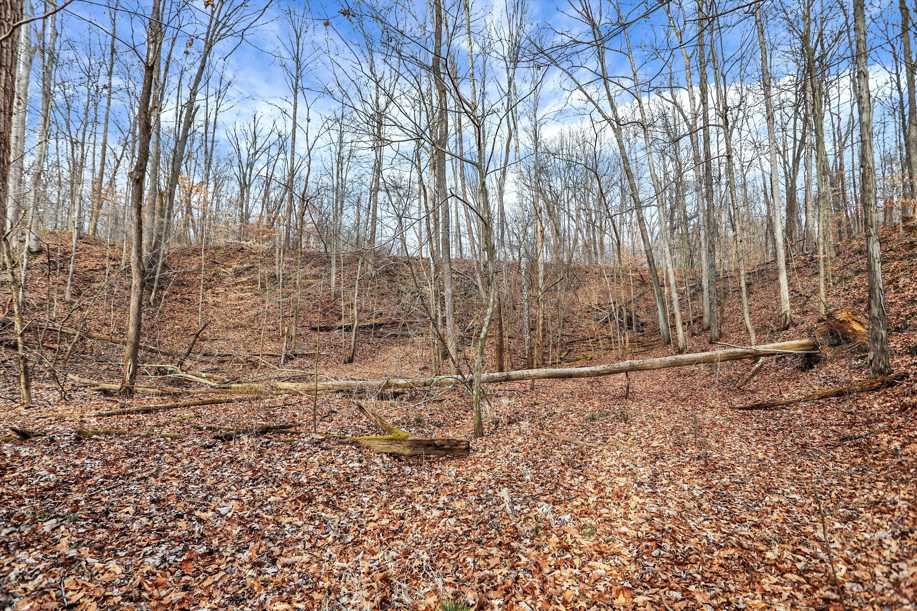 4495 Cunot-Cataract Road Poland, IN 47868 - Photo 29 of 35 Gallery Image 29
