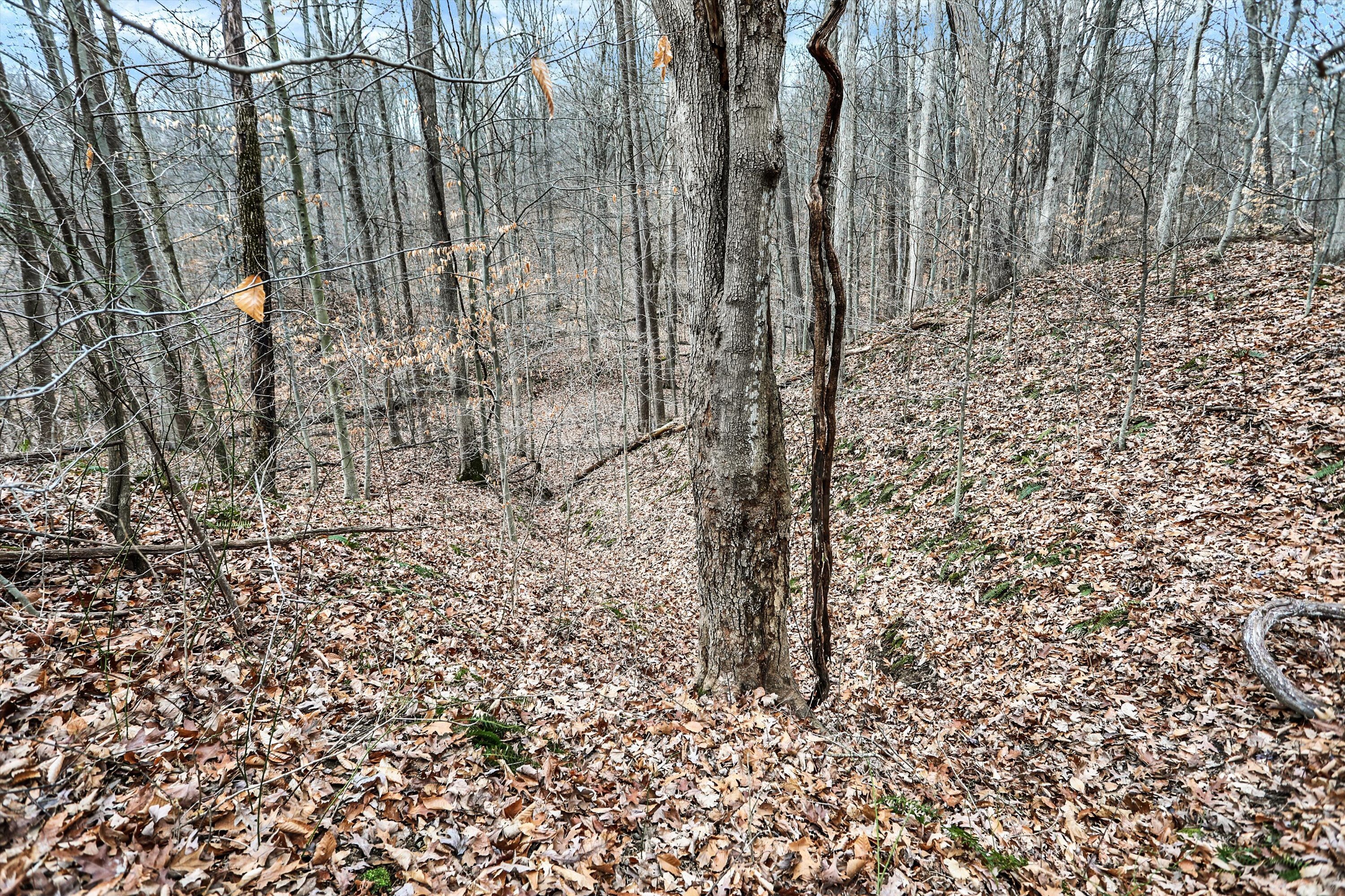 4495 Cunot-Cataract Road Poland, IN 47868 - Photo 32 of 35 Gallery Image 32