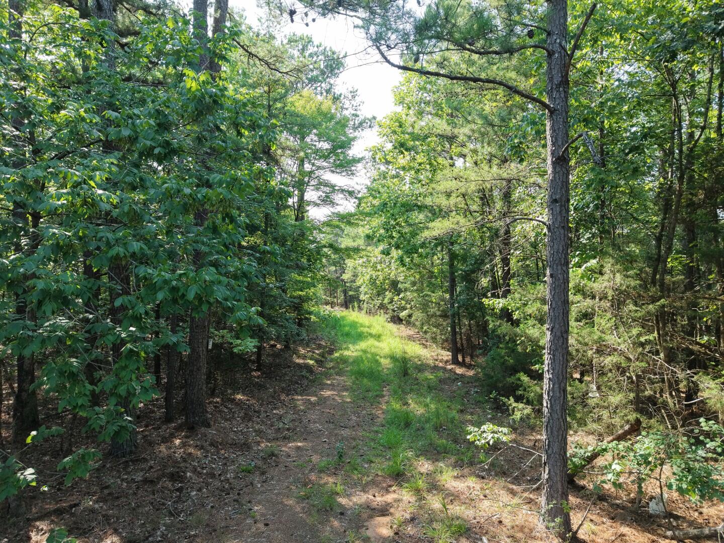 3096 State Rd S-20-33, Unit PARCEL 1 Blair, SC 29015 - Photo 6 of 32 DJI_20260811165257_0238_D (Large)