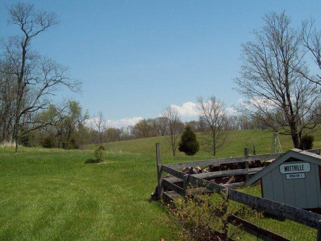 3977 Long Lick Road Stamping Ground, KY 40379 - Photo 22 of 29 Photo 22