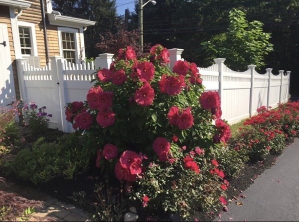 215 Long Pond Road Plymouth, MA 02360 - Photo 36 of 42 Gallery Image 36