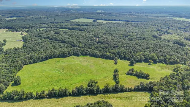 a view of a dry yard with wooden fence