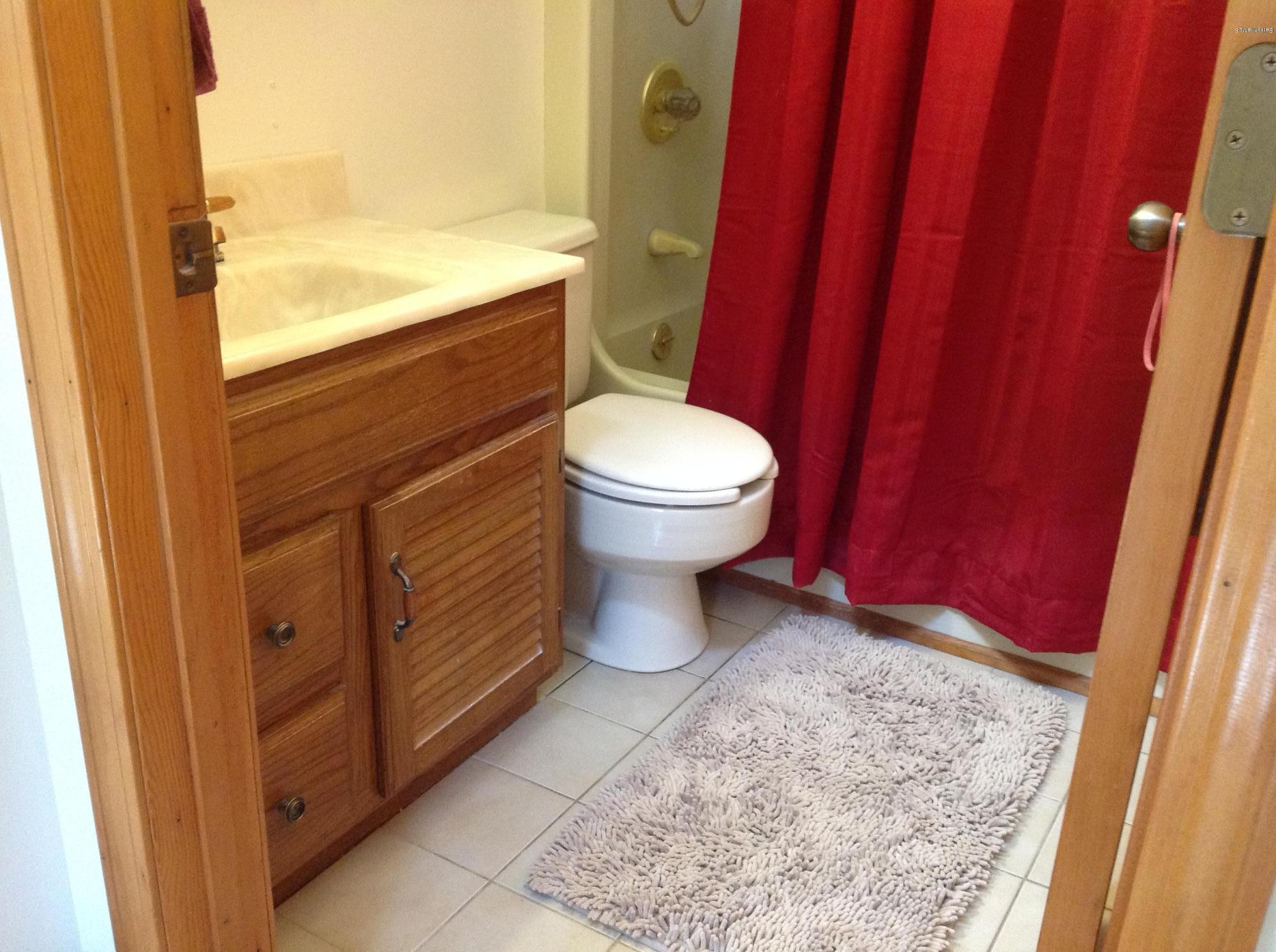 604 East Windsor Road Windsor, MA 01270 - Photo 17 of 28 a bathroom with a toilet a sink and a shower curtain