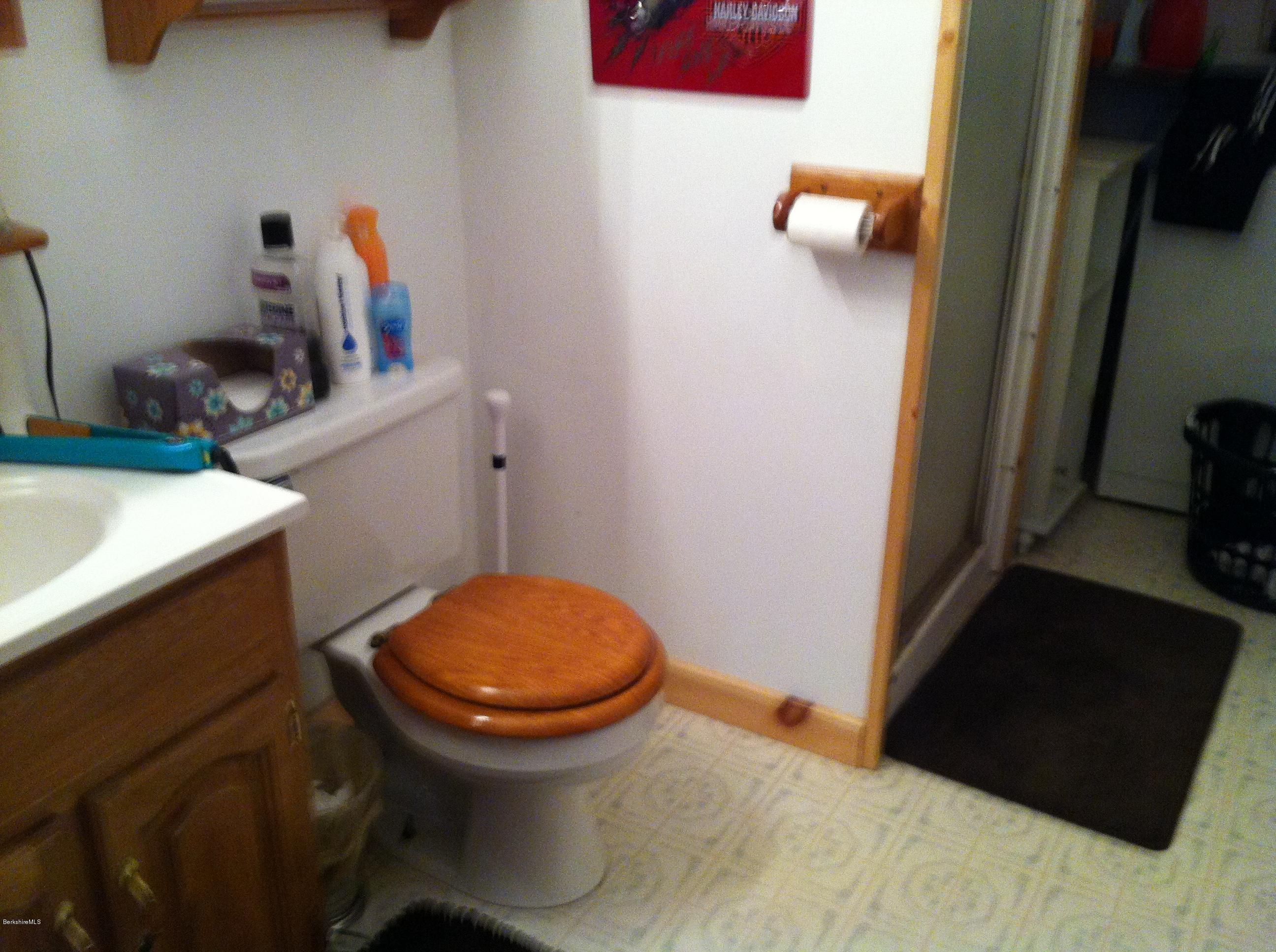 604 East Windsor Road Windsor, MA 01270 - Photo 26 of 28 a bathroom with a sink and a toilet