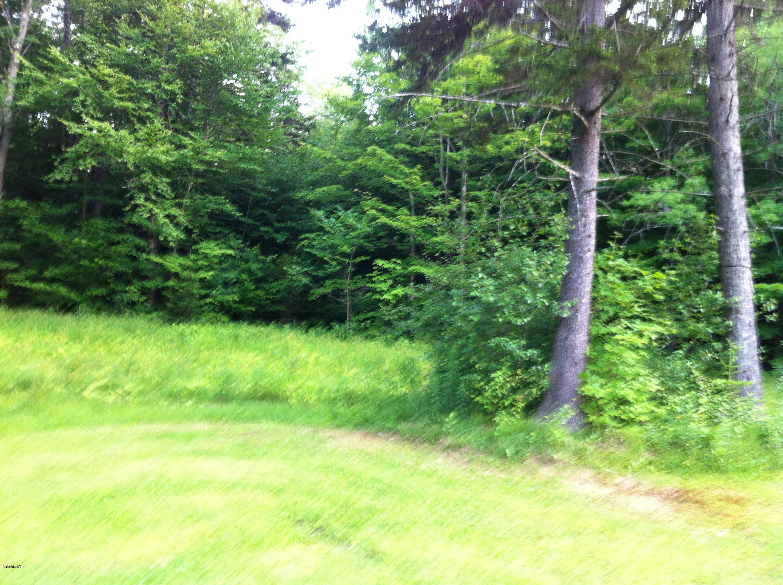 604 East Windsor Road Windsor, MA 01270 - Photo 7 of 28 a view of yard with green space